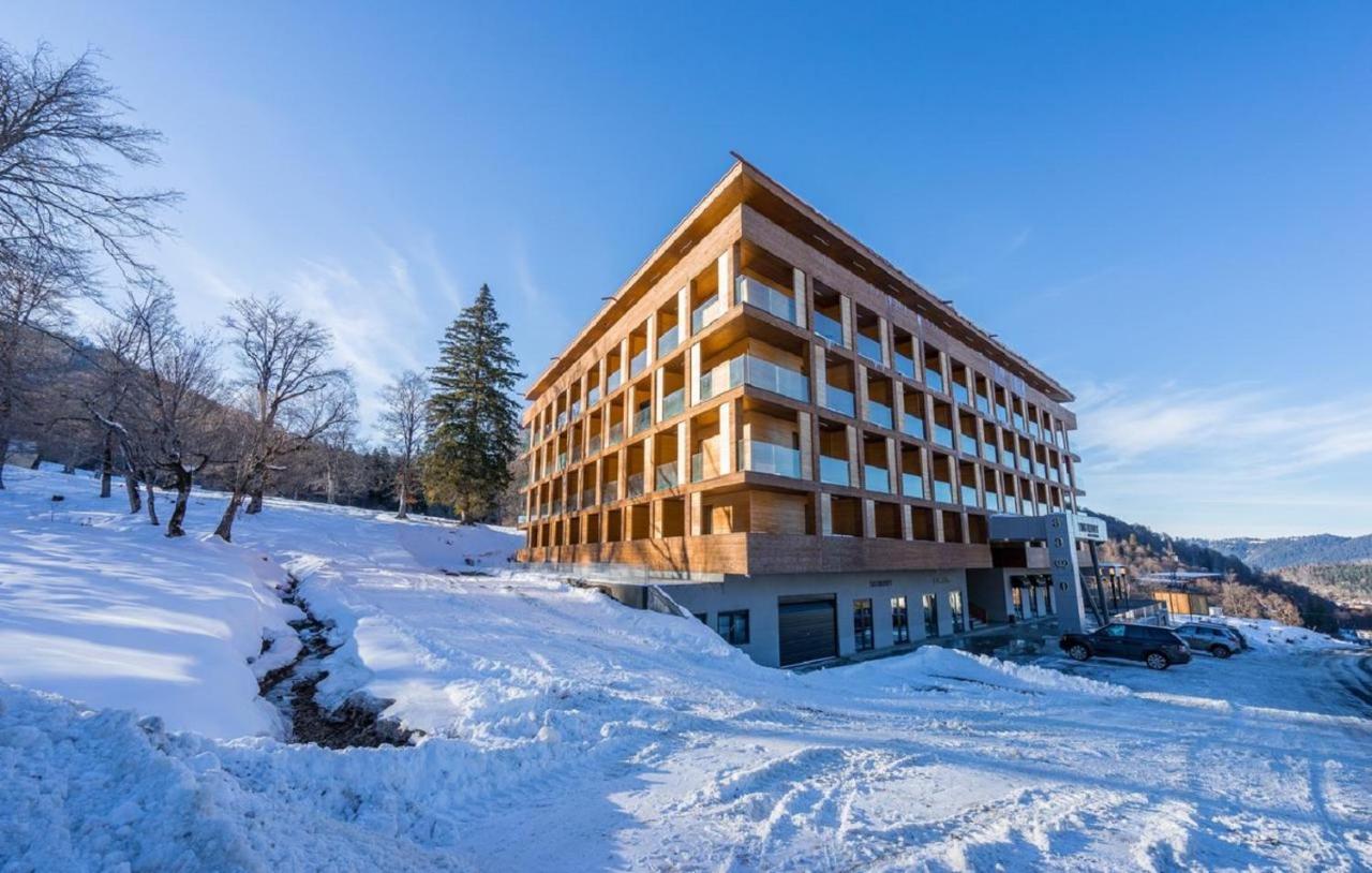 The Valley Bakuriani Belle Epoque Apartment エクステリア 写真